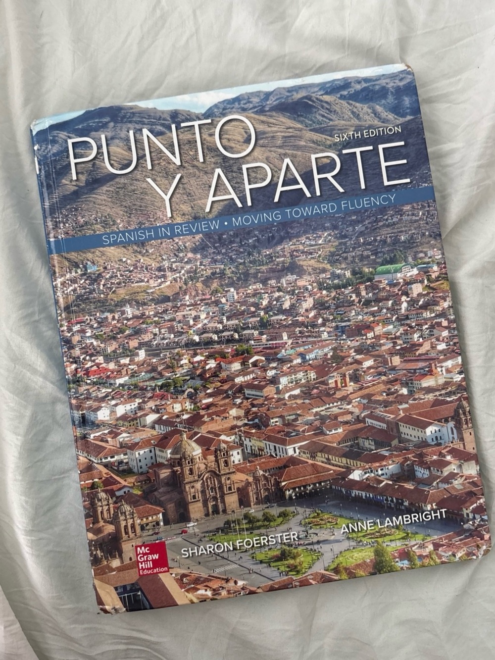 PUNTO Y APARTE Spanish Review Textbook - Blue Cover